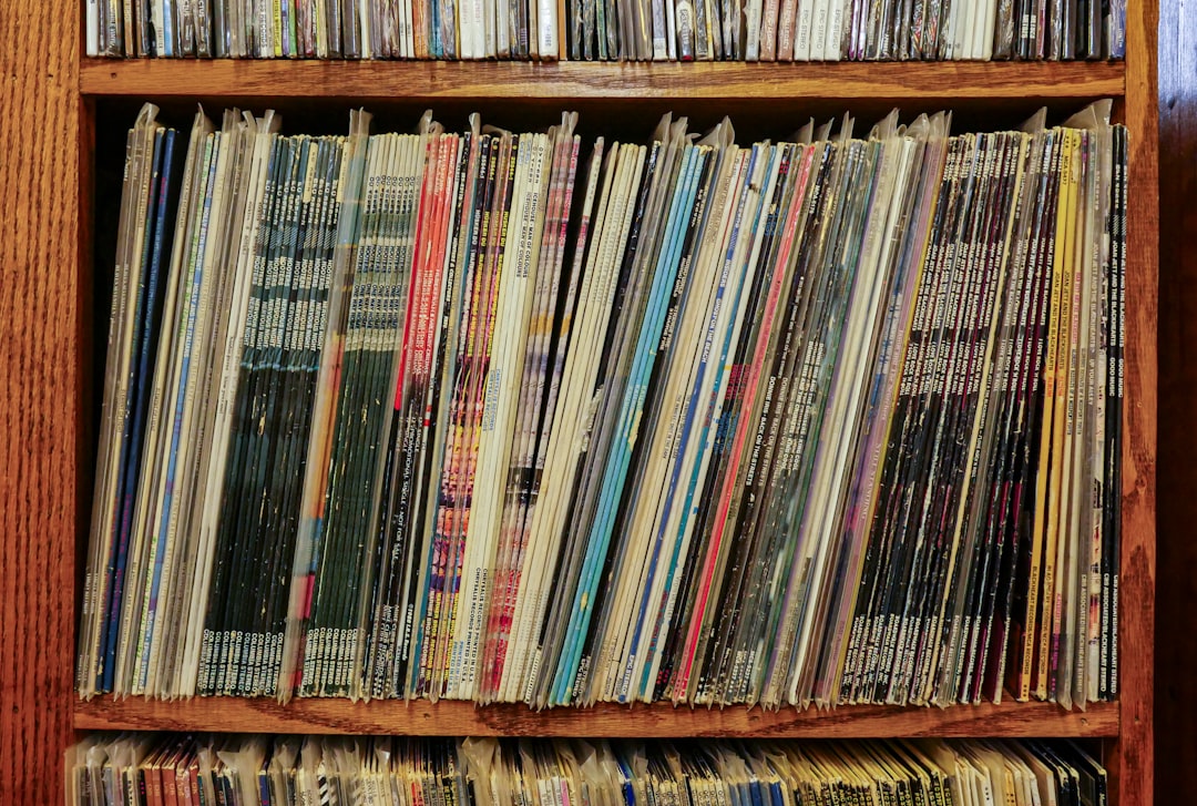 Vinyl records in a used record store bin